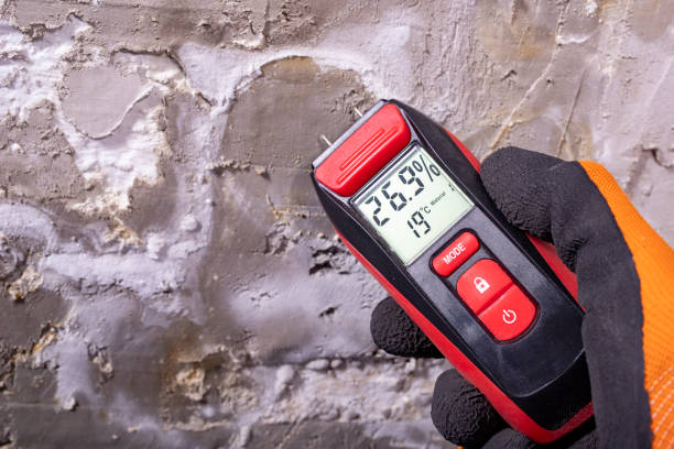 Best Emergency Mold Remediation in Marathon, FL